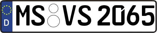 MS-VS2065