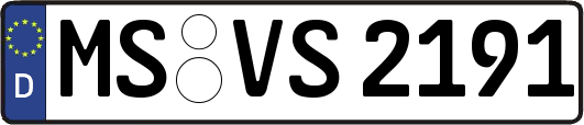 MS-VS2191