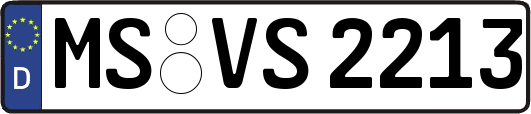 MS-VS2213