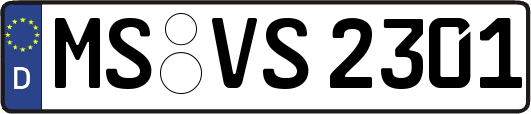 MS-VS2301