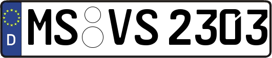 MS-VS2303