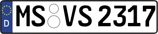 MS-VS2317