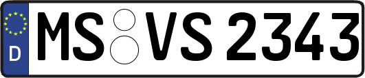 MS-VS2343