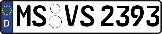 MS-VS2393