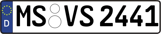 MS-VS2441