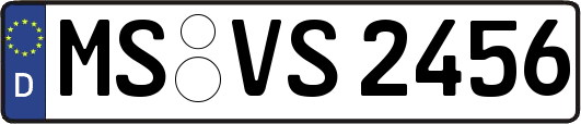 MS-VS2456