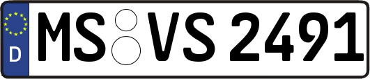 MS-VS2491