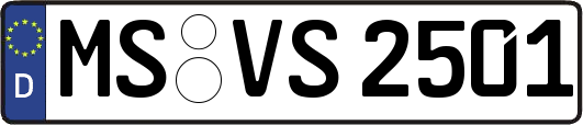 MS-VS2501