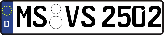 MS-VS2502
