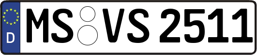 MS-VS2511