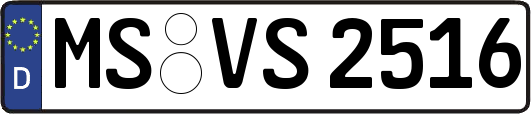MS-VS2516
