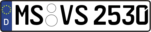 MS-VS2530