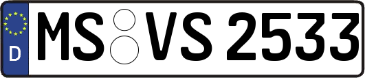 MS-VS2533