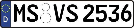MS-VS2536