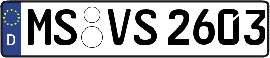 MS-VS2603