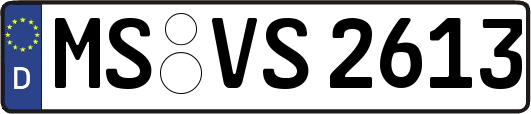 MS-VS2613