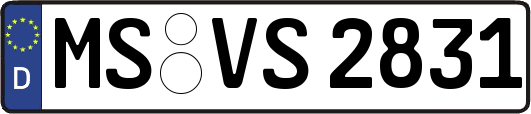 MS-VS2831