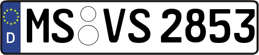 MS-VS2853