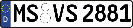 MS-VS2881