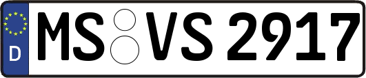 MS-VS2917