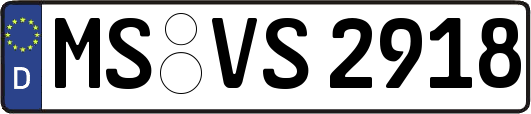 MS-VS2918