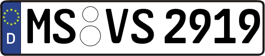 MS-VS2919