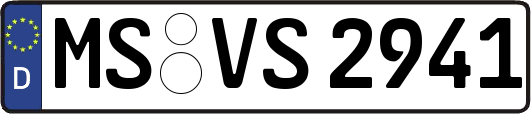 MS-VS2941