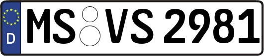 MS-VS2981