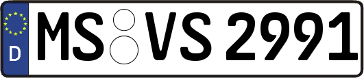 MS-VS2991