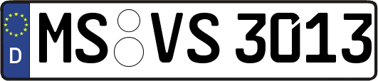 MS-VS3013