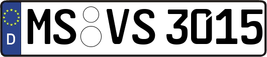 MS-VS3015