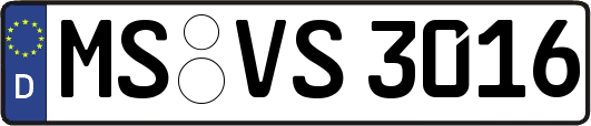 MS-VS3016