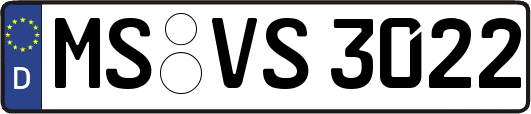 MS-VS3022
