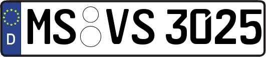 MS-VS3025