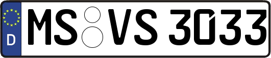 MS-VS3033