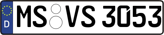 MS-VS3053