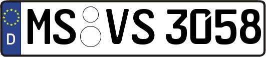 MS-VS3058