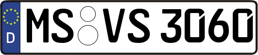 MS-VS3060