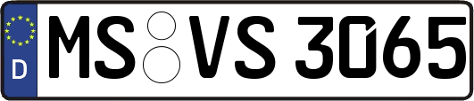 MS-VS3065