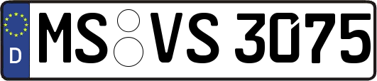 MS-VS3075