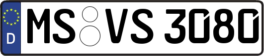 MS-VS3080