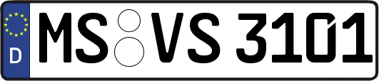 MS-VS3101