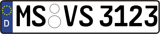 MS-VS3123