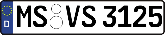 MS-VS3125