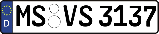 MS-VS3137