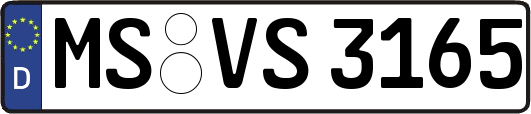 MS-VS3165
