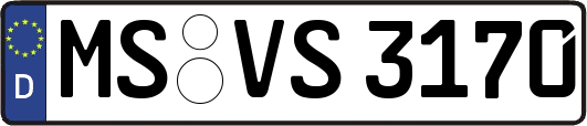 MS-VS3170