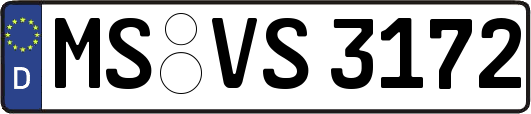 MS-VS3172