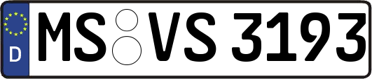 MS-VS3193