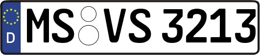 MS-VS3213